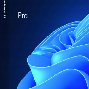 Windows 11 Pro Digitální + GetCID